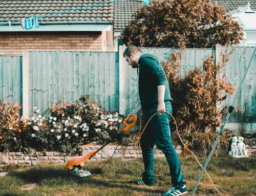 Mindful Gardening: Cultivating Nature To Heal Body, Mind, And Spirit