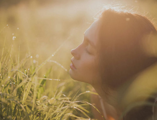 The Vagus Nerve Explained: A Key To Calm, Safety, And Inner Balance